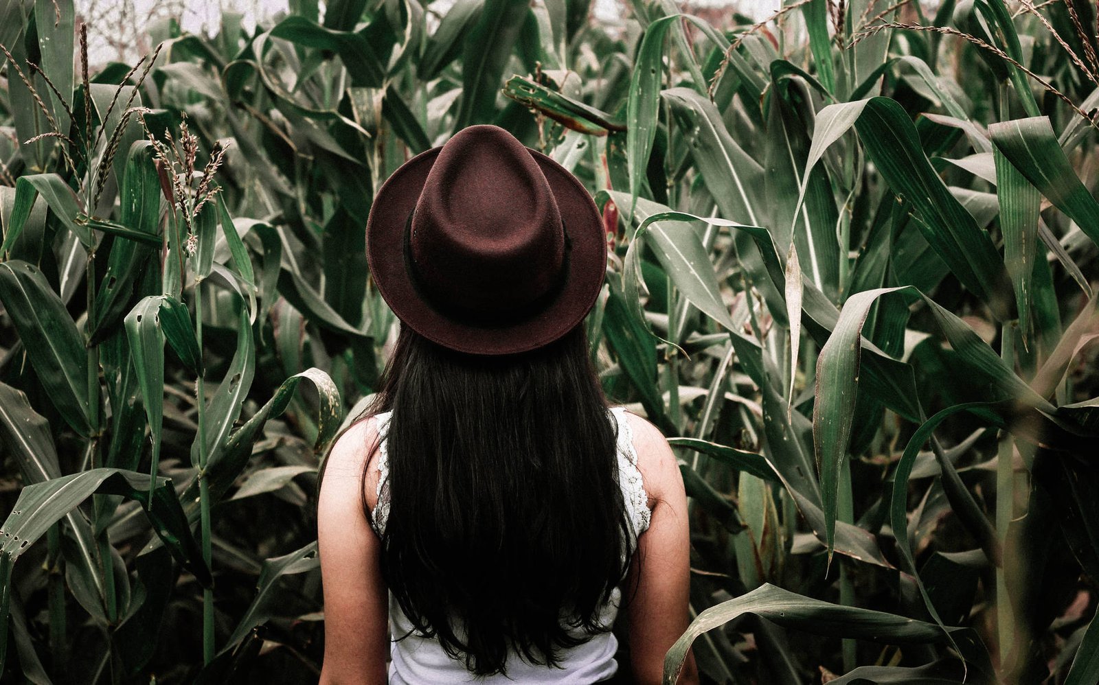 project-290-Q-raIe-gAOo-unsplash