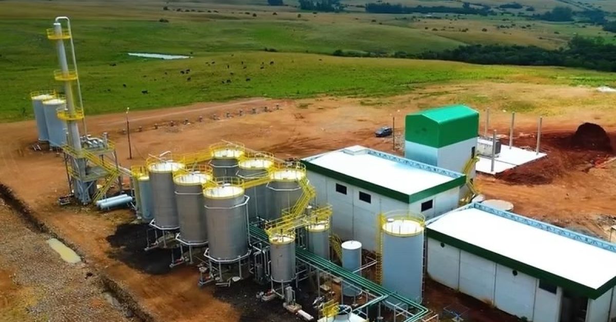 Imagem destacada – Primeira usina de etanol de trigo do Brasil é inaugurada após aporte de R$ 100 milhões Imagem destacada - Primeira usina de etanol de trigo do Brasil é inaugurada após aporte de R$ 100 milhões